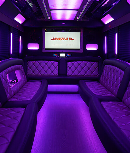 28 passenger party bus